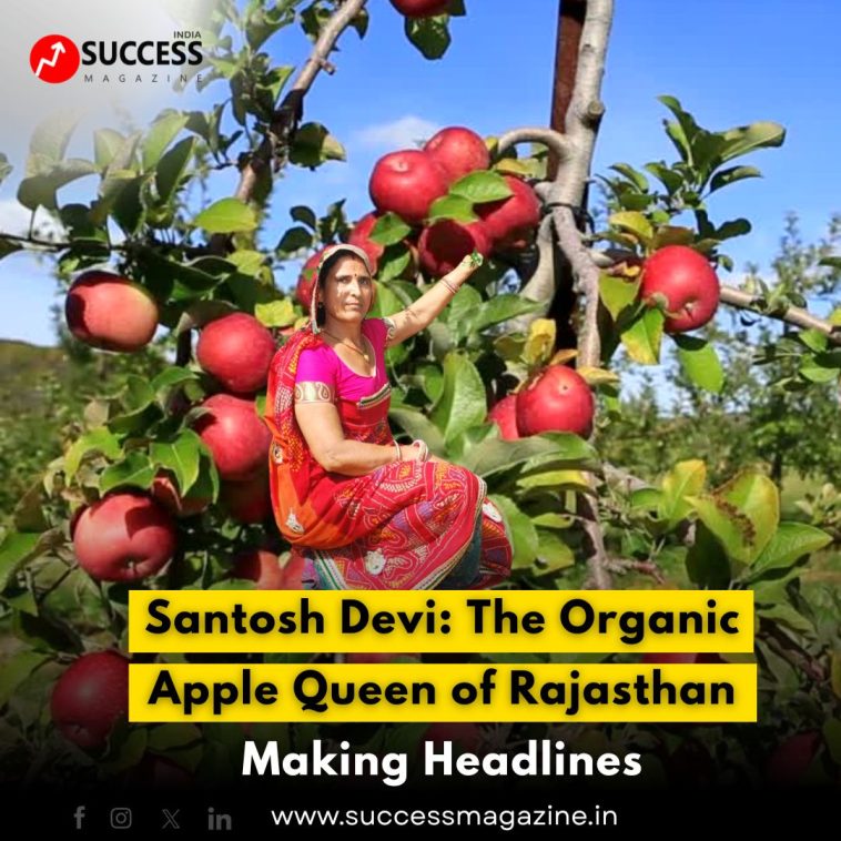 Santosh Devi: The Organic Apple Queen of Rajasthan Making Headlines
