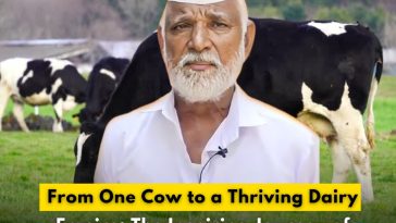 From One Cow to a Thriving Dairy Empire: The Inspiring Journey of Prakash Nemade from Solapur